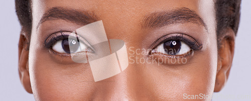 Image of Eyes, beauty and woman with lashes and microblading, cosmetics and contact lenses for vision on white background. Mascara, eyeshadow makeup with eyecare and cosmetology in portrait with optometry