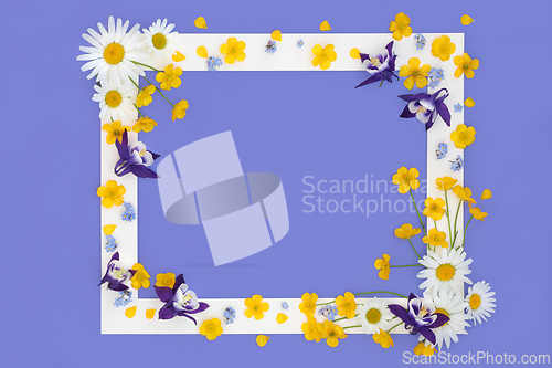 Image of Spring Flower and Wildflower Background Frame