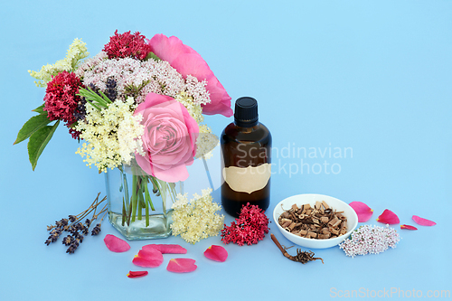 Image of Healing Adaptogen Herbs and Flowers