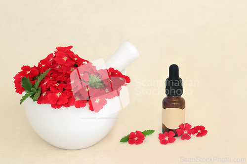 Image of Red Verbena Flowers with Aromatherapy Essential Oil  