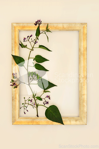 Image of Deadly Nightshade Plant with Abstract Gold Frame   