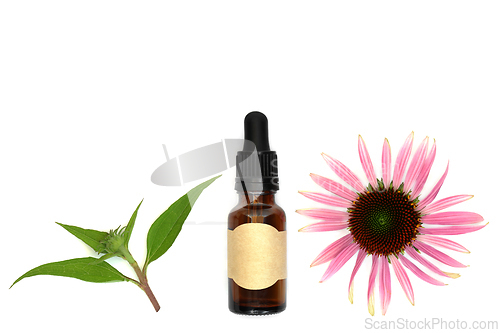 Image of Echinacea Healing Remedy for Cough Cold and Bronchitis  