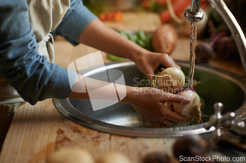 Image of Hands, sink and water, clean vegetables and cooking food with hygiene and health at home. Turnip, organic for lunch or dinner, washing ingredient and meal prep with chef skill and cuisine in kitchen
