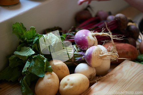 Image of Root, vegetables and ingredients on kitchen counter for cooking recipe or leafy greens, radish or potato. Wood board, food and diet in apartment for healthy wellness or vegan eating, fibre or meal