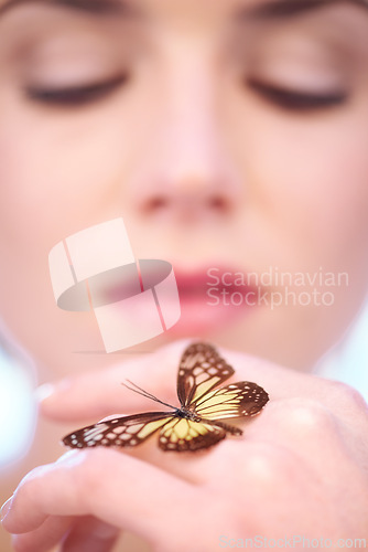 Image of Beauty, skincare and butterfly on hand of woman closeup in studio for natural wellness or treatment. Skin, nature or sustainability and person with insect for environmental cosmetics or dermatology