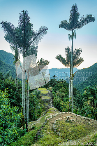 Image of Ciudad Perdida, ancient ruins in Sierra Nevada mountains. Santa Marta, Colombia wilderness