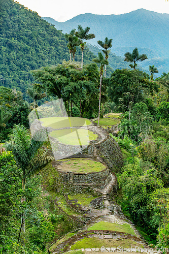 Image of Ciudad Perdida, ancient ruins in Sierra Nevada mountains. Santa Marta, Colombia wilderness