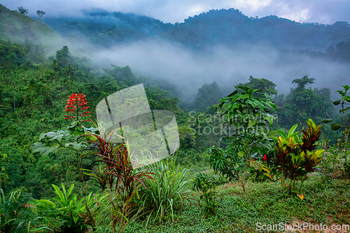 Image of Landscape of Sierra Nevada mountains, Colombia wilderness landscape.