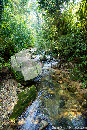 Image of Landscape of Sierra Nevada mountains, Colombia wilderness landscape.