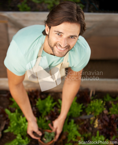 Image of Man, happy and portrait with plant for agriculture, growth and harvest from above. Male gardener, smiling and soil in container for cultivation, weeding or eco friendly horticulture in greenery shop