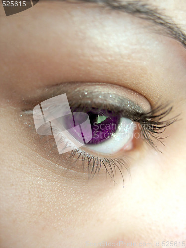 Image of Pretty Eye Lashes