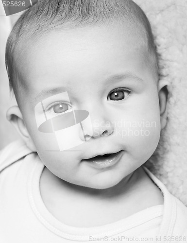 Image of Adorable newborn portrait