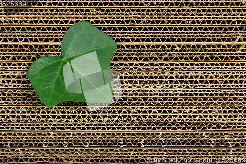 Image of Green leaf on cardboard background