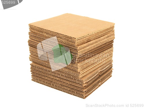 Image of Green leaf and pile of cardboard