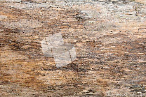 Image of Close-up view of a weathered wooden surface textures in natural 