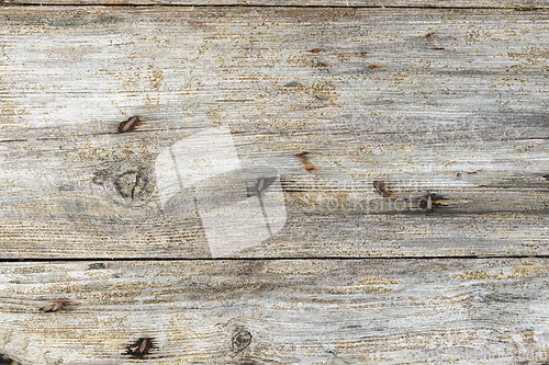 Image of Weathered wooden planks with rusty nails on an old fence during 