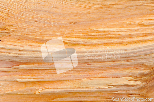 Image of Close up view of wooden surface