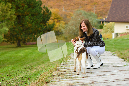 Image of A young beautiful girl pets a dog against the backdrop of a beautiful landscape