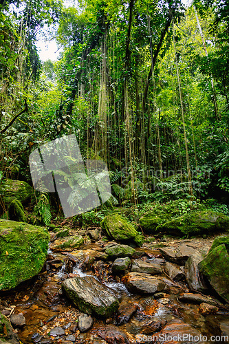 Image of Landscape of Sierra Nevada mountains, Colombia wilderness landscape.