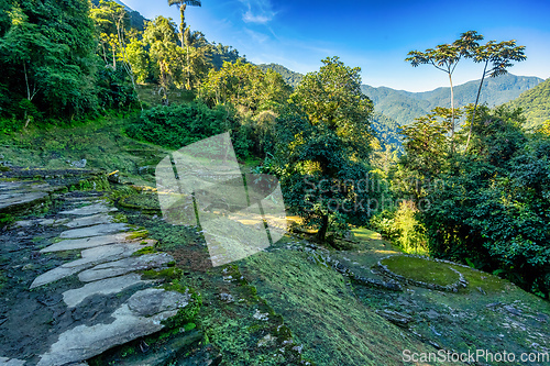 Image of Ciudad Perdida, ancient ruins in Sierra Nevada mountains. Santa Marta, Colombia wilderness