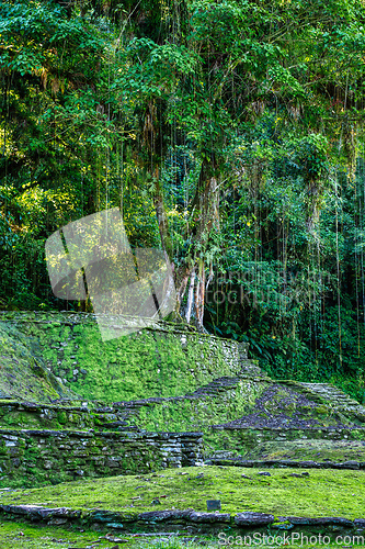 Image of Ciudad Perdida, ancient ruins in Sierra Nevada mountains. Santa Marta, Colombia wilderness