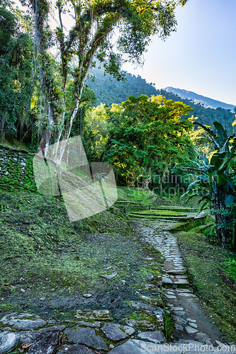 Image of Ciudad Perdida, ancient ruins in Sierra Nevada mountains. Santa Marta, Colombia wilderness