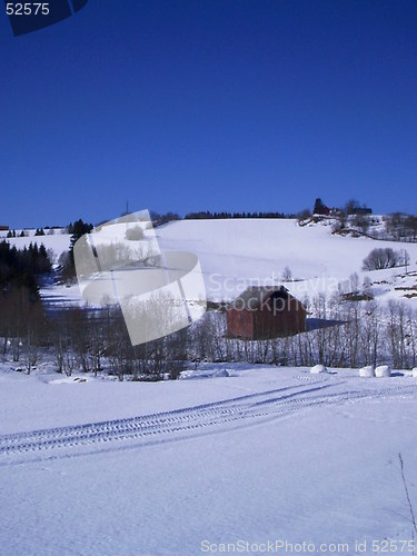 Image of Winterland