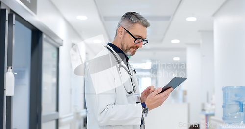 Image of News, tablet or mature doctor in hospital with research on website to search for medicine info online. Man reading, senior or medical healthcare nurse browsing on technology for telehealth in clinic