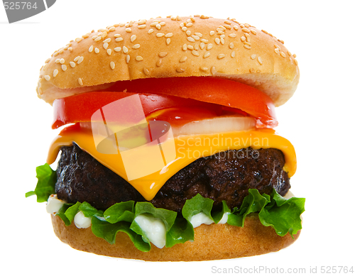 Image of Juicy burger