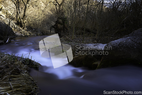 Image of wild montain stream in Tureni gorges