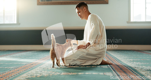 Image of Cat, islamic and man with pet in a mosque for praying, peace and spiritual care in holy religion for Allah. Respect, gratitude and Muslim person with kindness for animal or kitten after worship