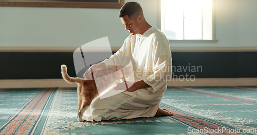 Image of Cat, islamic and man with pet in a mosque for praying, peace and spiritual care in holy religion for Allah. Respect, gratitude and Muslim person with kindness for animal or kitten after worship