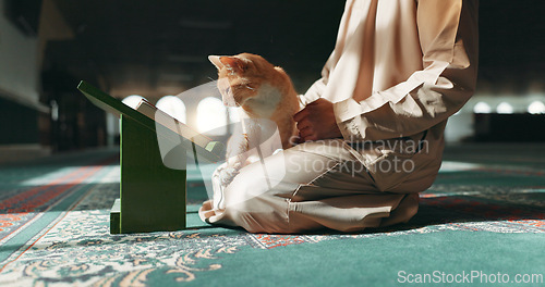 Image of Muslim, person and cat in a mosque during praying, worship or comfort while reading on the floor. Holy, religion and an Islamic man with a pet or animal during spiritual study, learning or relax