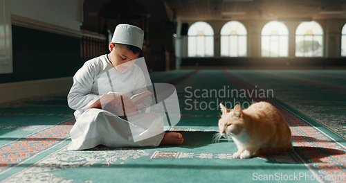 Image of Quran, islamic and child in a mosque for praying, peace and spiritual care in holy religion for Allah. Reading book, Ramadan or Muslim kid with a cat animal, hope or gratitude to study or worship God