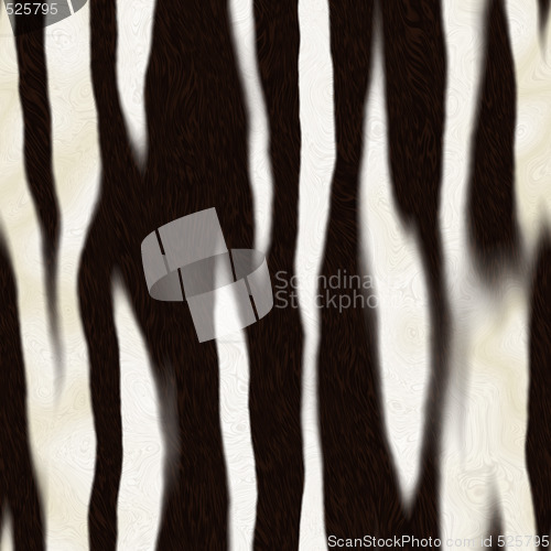 Image of Zebra Skin Pattern