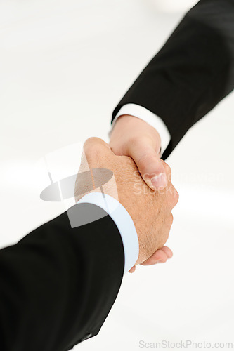 Image of Business people, shaking hands and thank you for support in introduction, hello and opportunity. Partnership, onboarding and coworkers in agreement, closeup and promotion in office or collaboration