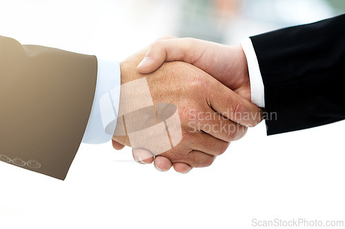 Image of Business people, shaking hands and thank you for networking in introduction, hello and opportunity. Partnership, onboarding and coworkers for support, closeup and promotion in office or collaboration