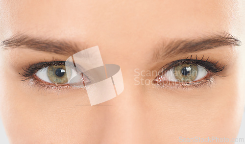 Image of Eyes, eyebrows and lashes for vision in closeup of woman for eyecare, microblading and contact lenses. Iris, eyeball and retina of female person for healthy sight, optical treatment and watching