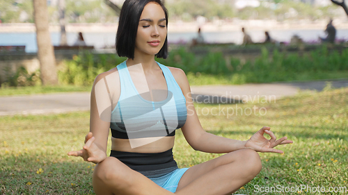 Image of Healthy Young Woman Practices Yoga in a Tranquil Park