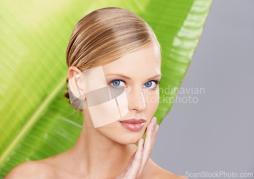 Image of Woman, palm leaf and skincare in portrait for beauty, glow and routine in studio. Female person, natural and face with confidence for wellness, detox and hydration benefits on gray background