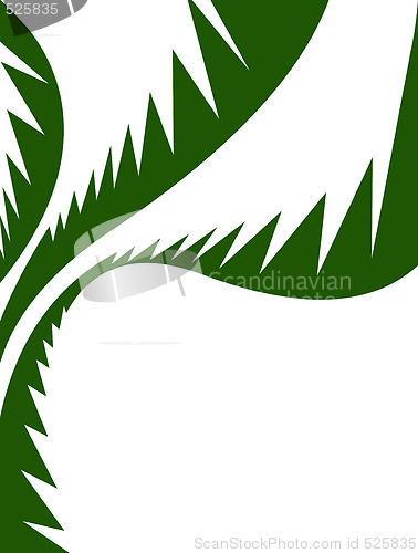 Image of Palm Leaves