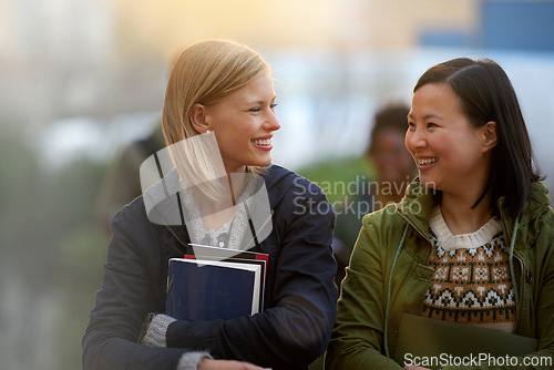 Image of Education, books and talking with woman friends outdoor on campus together for learning or development. Diversity, college or university with young student and best friend chatting at recess break