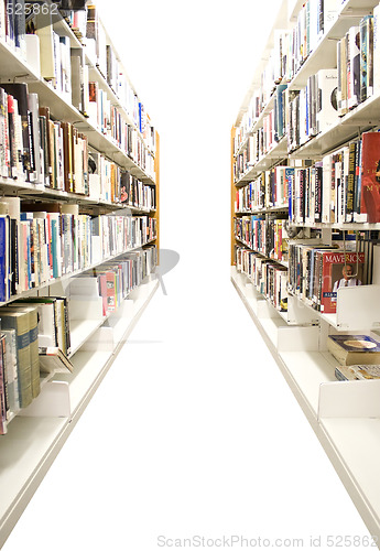 Image of Isolated Library Shelves