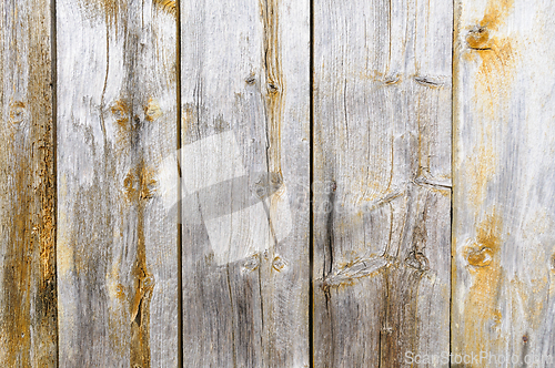 Image of Vertical wooden planks with weathered texture and visible knots