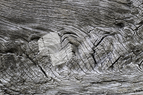 Image of beautiful detailed oak plank texture