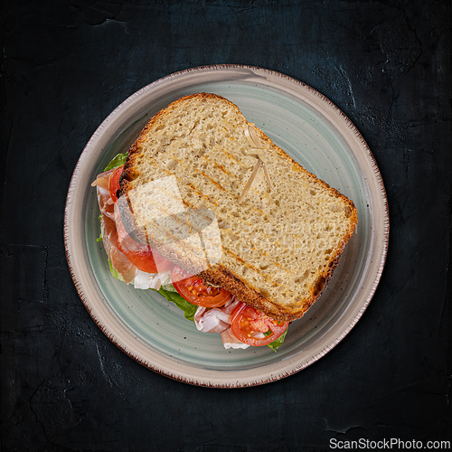 Image of Delicious grilled sandwich