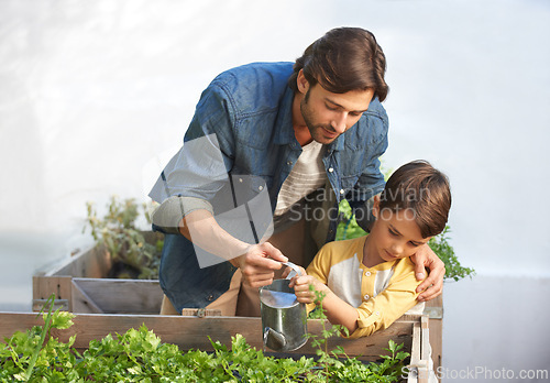 Image of Parent, kid and water plants in greenhouse for organic vegetables, sustainability and healthy greenery. Father, son and teach to grow greenery, garden and nurture agriculture for environment