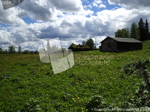 Image of Old Farm