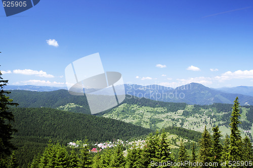 Image of Forest landscape