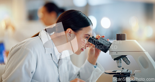 Image of Science, research and woman with microscope, tablet and biotech data report in laboratory. Medical innovation, scientist or lab technician in study for healthcare, medicine and vaccine test feedback